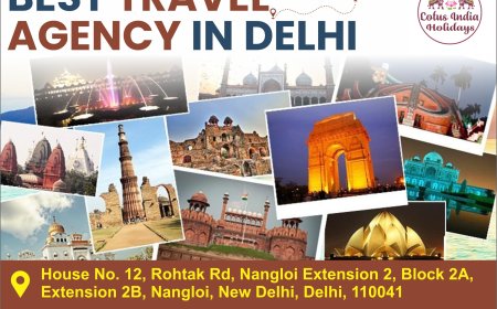 Discover the Best Travel Agency in Delhi – Journey with Lotus India Holidays