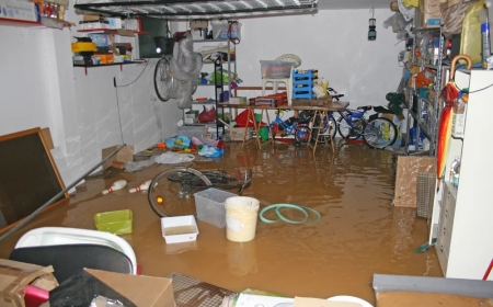 Dry and Clean Up Water Damage Now