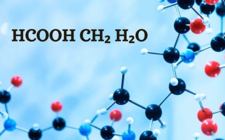 Understanding HCOOCH₃, CH₂, and H₂O: A Closer Look at Methyl Formate Hydrolysis