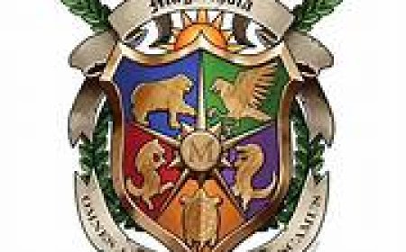 The Power of the School Crest: Symbolism, Tradition, and Identity in Irish Education