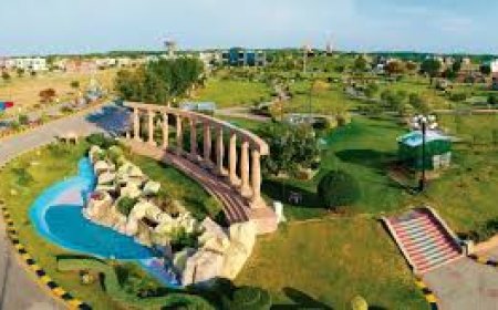 What Makes 10 Marla Plots a Golden Investment?