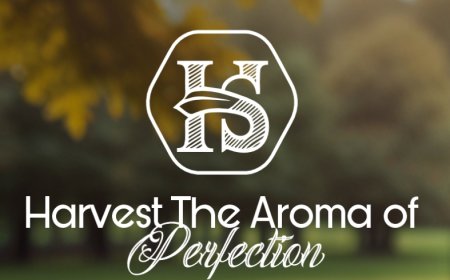 Arabian Oud Madawi: The Signature of Sophisticated Femininity