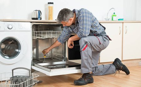 Preventative Maintenance: How to Stop a Leaking Dishwasher Before It Starts