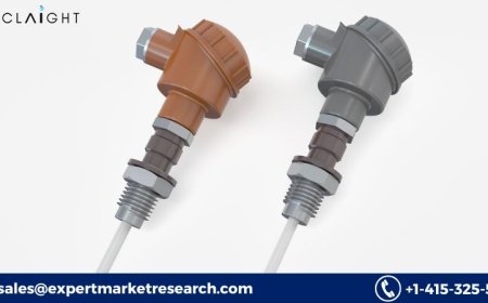 Thermocouple Market Trends, Growth & Forecast Analysis 2025–2034