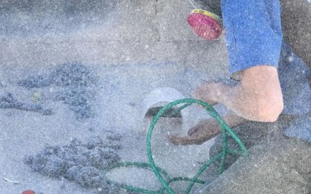 Dryer Vent Cleaning Prescott AZ – Enhance Safety & Efficiency with Expert Service