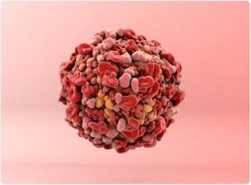 Environmental Toxins and Cancer Risk