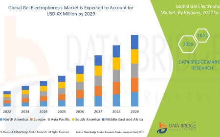 Gel Electrophoresis Market Demand, Opportunities and Forecast By 2029