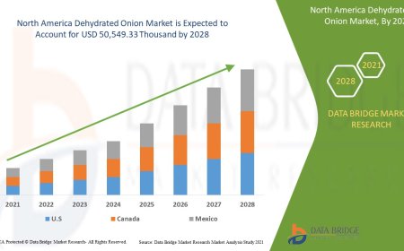North America Dehydrated Onion Market Research Report: Share, Growth, Trends and Forecast By 2028