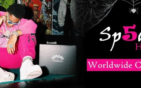 Style Moves Fast – Your Spider Hoodie Belongs in 2025