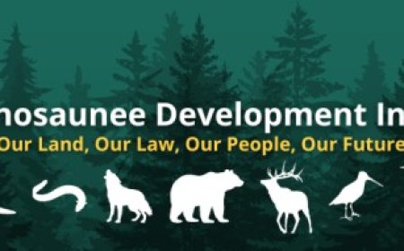 Haudenosaunee Development Institute