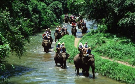 Book a Scenic Wildlife Getaway with Simlipal Tour Package