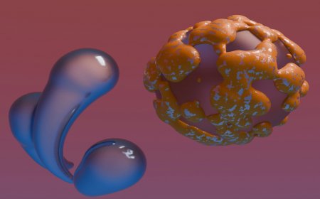 PNExo™ Exosome Applications in Targeted Drug Delivery