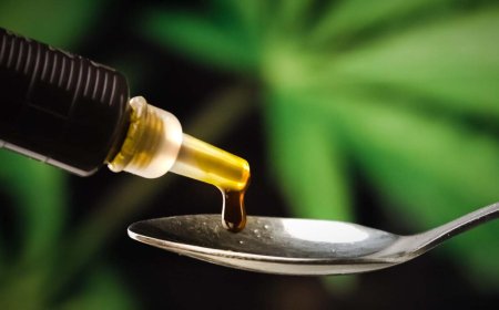 RSO Rick Simpson Oil Bulk Jars: A Complete Guide to High-Potency Cannabis Extracts