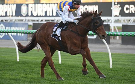 Top Flemington Racing Tips Winners: How to Back Champions at Australia’s Premier Track