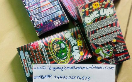 DO PEOPLE BUY MAGIC MUSHROOM IN EUROPE