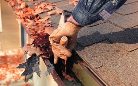 Best Gutter Cleaning in Medford, OR | Reliable & Affordable Gutter Services