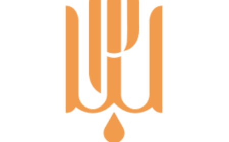 How Do Innovative Therapies Enhance Integrated Medical Services?