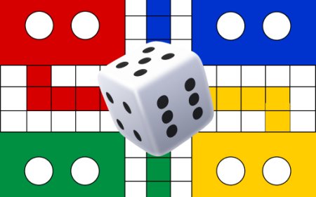 What is the Highest Level in the Game of Ludo?