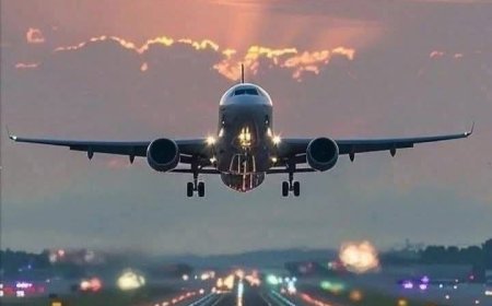Caribbean Airlines JFK Terminal Phone Number