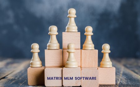Layer by Layer: How Matrix MLM Plans Promote Teamwork and Fair Earnings