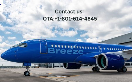 How Do I Speak to Someone at Breeze? Real Results Are Here!