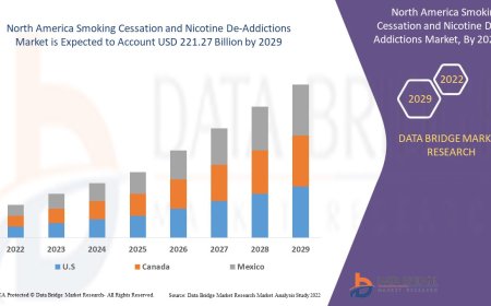 North America Smoking Cessation and Nicotine De-Addictions Market Analysis On Size and Industry Demand  2032