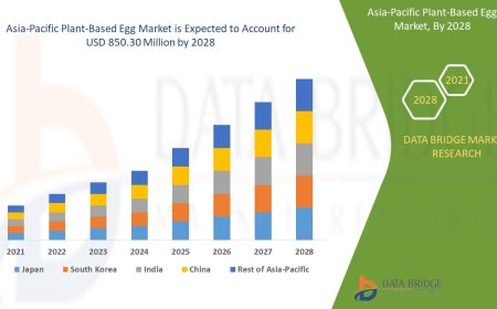 Asia-Pacific Plant-Based Egg Market Analysis On Size and Industry Demand  2028