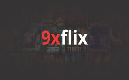 The Best Features of 9xflix com for Multi-Language Movie Lovers