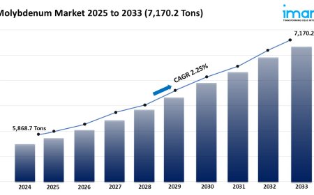 Molybdenum Market Size, Share, Growth, and Forecast 2025-2033