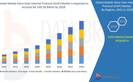 Mobile Voice Over Internet Protocol (VoIP) Market Size, Status and Industry Outlook During 2028