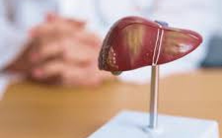 Liver Transplants: A Complete Guide for Patients and Families