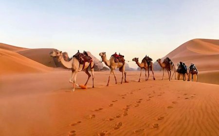 Ride Solo, Ride Free: Dune Buggy Rental Dubai for the Ultimate Desert Escape