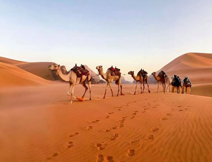 Ride Solo, Ride Free: Dune Buggy Rental Dubai for the Ultimate Desert Escape