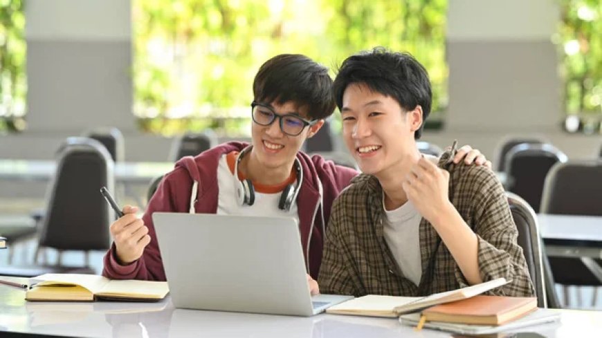 Professional Management Assignment Help: A Guide for Success